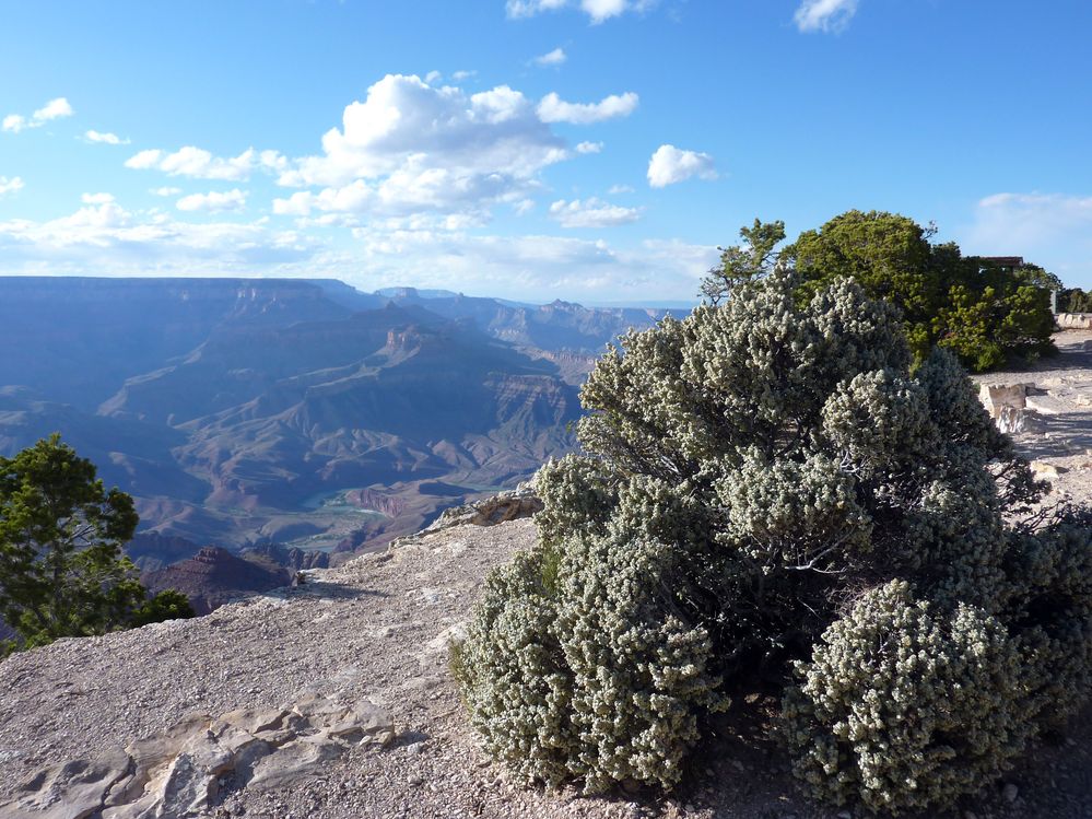 grand canyon (25).JPG